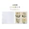 Vintage Flowers Paint-by-Number Gallery Mini Kit by Artist's Loft®